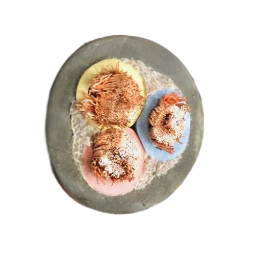 龙八- long8(国际)唯一官方网站