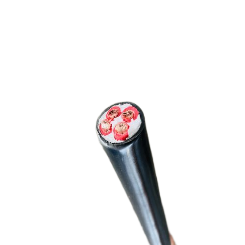 龙八- long8(国际)唯一官方网站