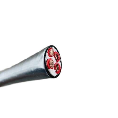 龙八- long8(国际)唯一官方网站