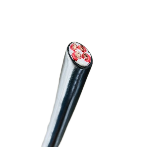 龙八- long8(国际)唯一官方网站