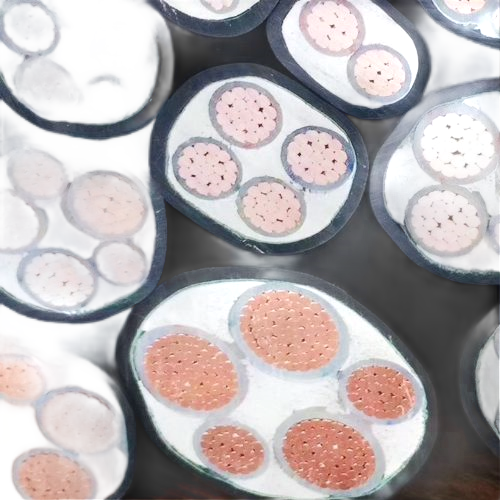 龙八- long8(国际)唯一官方网站