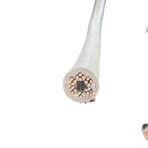 龙八- long8(国际)唯一官方网站