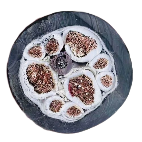 龙八- long8(国际)唯一官方网站