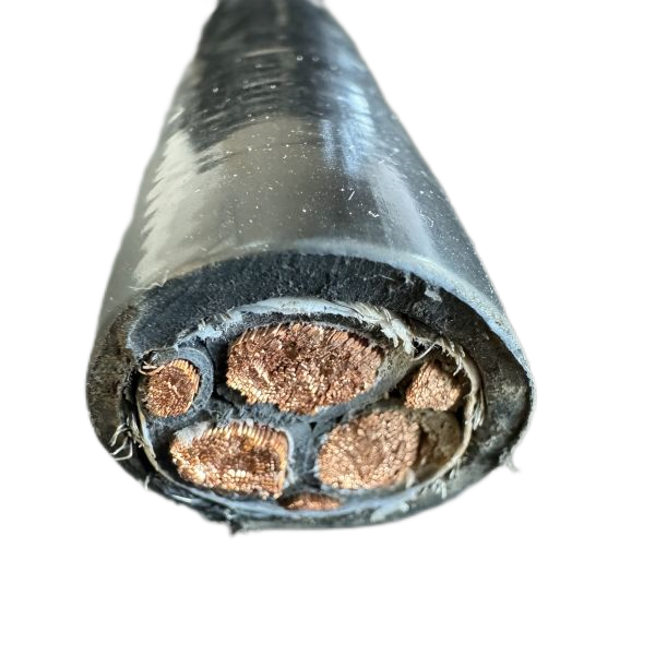 龙八- long8(国际)唯一官方网站