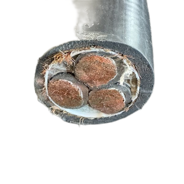 龙八- long8(国际)唯一官方网站