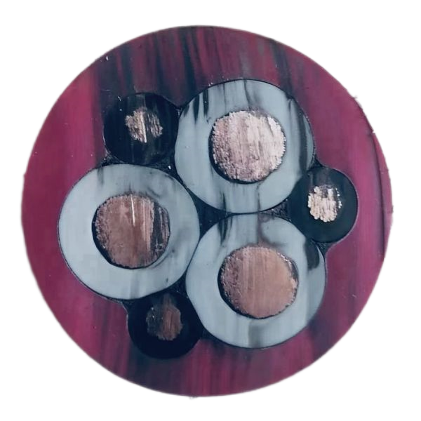 龙八- long8(国际)唯一官方网站