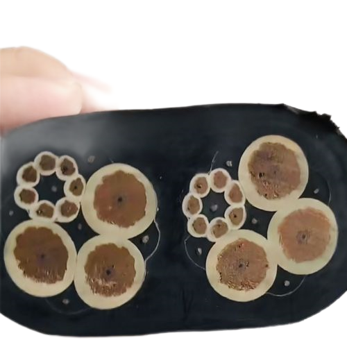 龙八- long8(国际)唯一官方网站