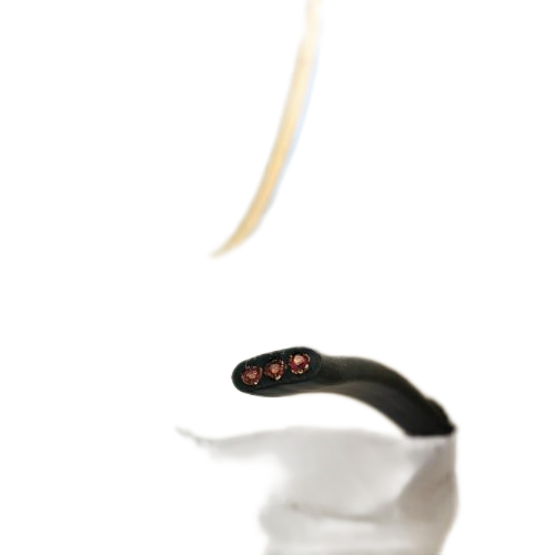 龙八- long8(国际)唯一官方网站