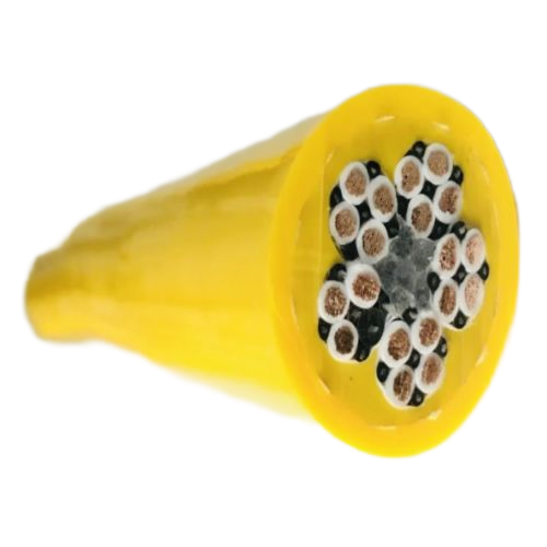 龙八- long8(国际)唯一官方网站