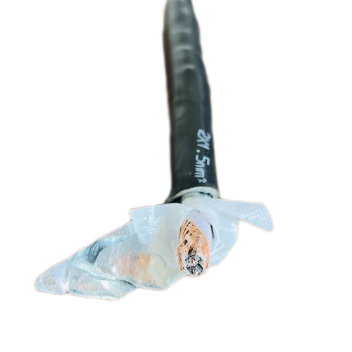 龙八- long8(国际)唯一官方网站