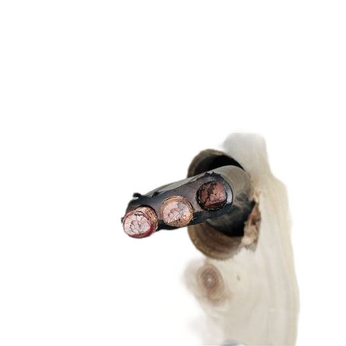 龙八- long8(国际)唯一官方网站