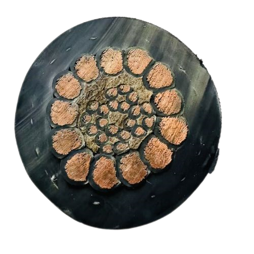 龙八- long8(国际)唯一官方网站