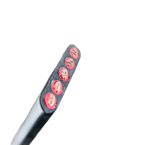 龙八- long8(国际)唯一官方网站