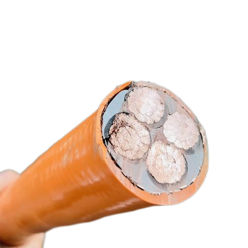 龙八- long8(国际)唯一官方网站