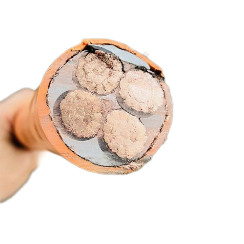 龙八- long8(国际)唯一官方网站