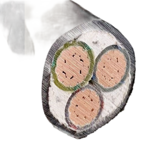 龙八- long8(国际)唯一官方网站