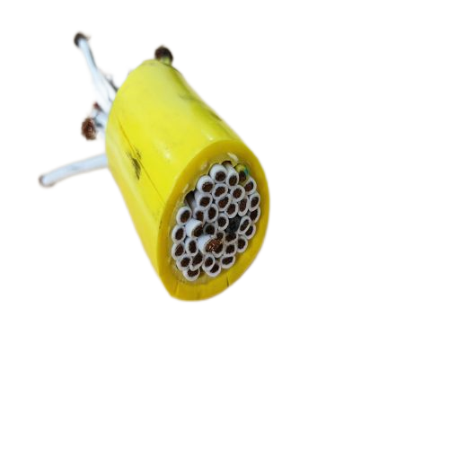 龙八- long8(国际)唯一官方网站