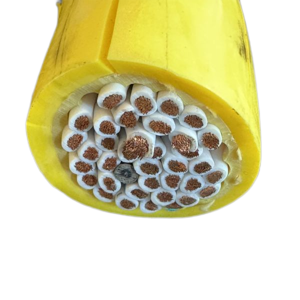 龙八- long8(国际)唯一官方网站