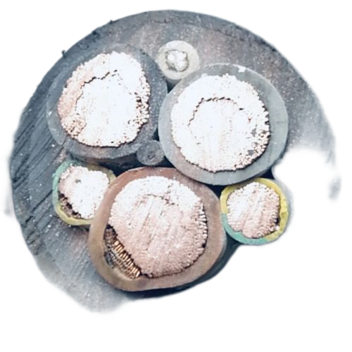 龙八- long8(国际)唯一官方网站