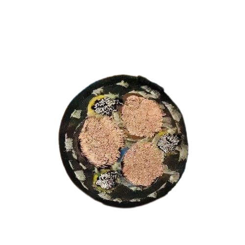 龙八- long8(国际)唯一官方网站