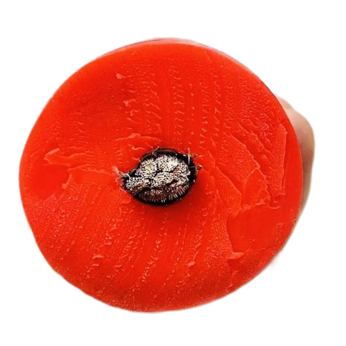 龙八- long8(国际)唯一官方网站