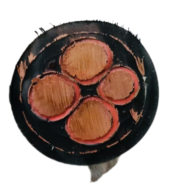 龙八- long8(国际)唯一官方网站