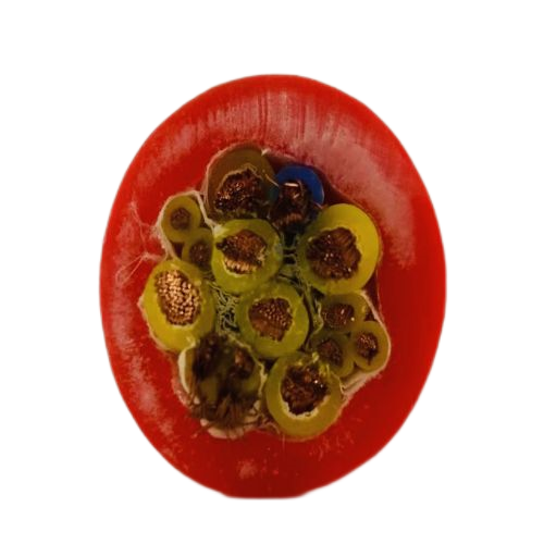 龙八- long8(国际)唯一官方网站