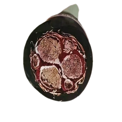 龙八- long8(国际)唯一官方网站