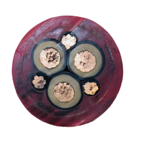 龙八- long8(国际)唯一官方网站