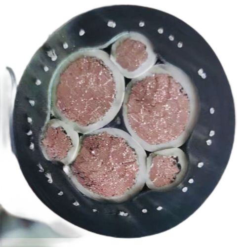 龙八- long8(国际)唯一官方网站