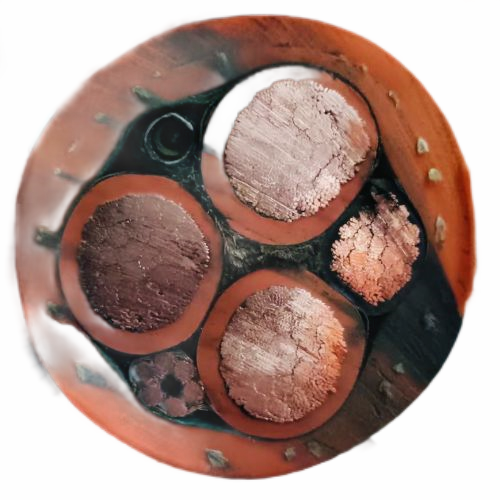 龙八- long8(国际)唯一官方网站