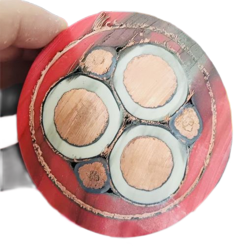 龙八- long8(国际)唯一官方网站