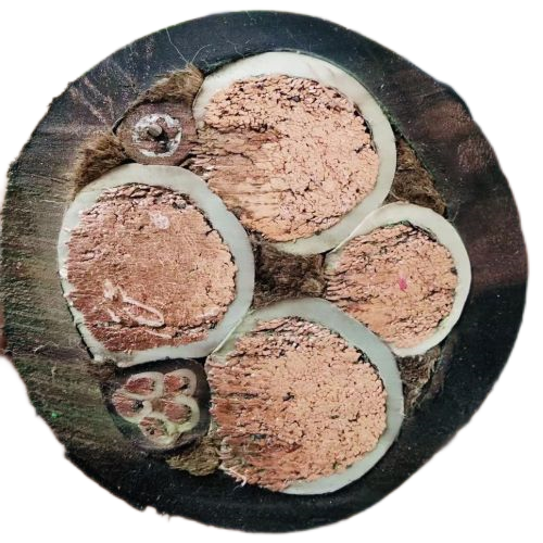 龙八- long8(国际)唯一官方网站